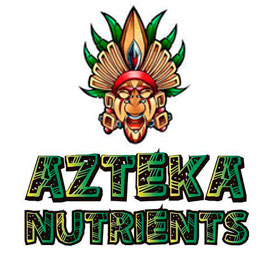 diseño de tienda online woocomerce azteka nutrients