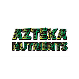 diseño de tienda online woocomerce azteka nutrients